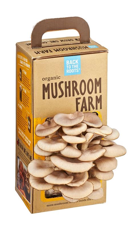 Mushroom Growing Kits Expertly Chosen Ts