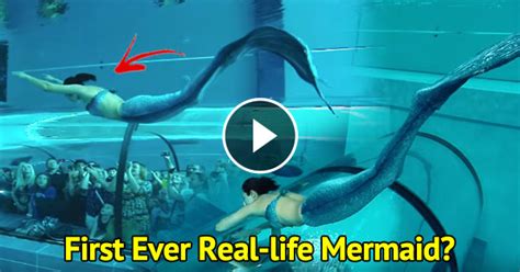 the first ever real life mermaid was spotted swimming underwater in italy stunning social