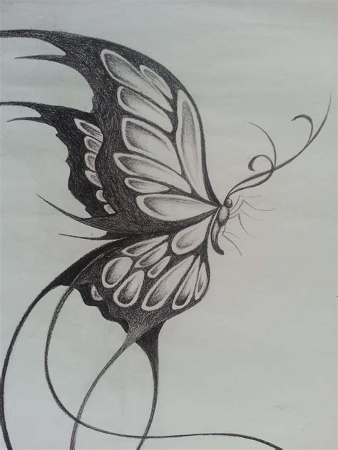 12 Cool Drawings Of Butterflies Butterfly Sketch Butterfly Drawing