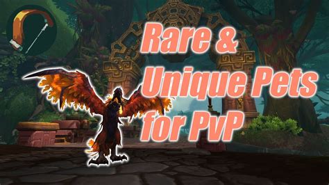 Best Looking Rare and Unique Hunter Pets for PvP & Where ...