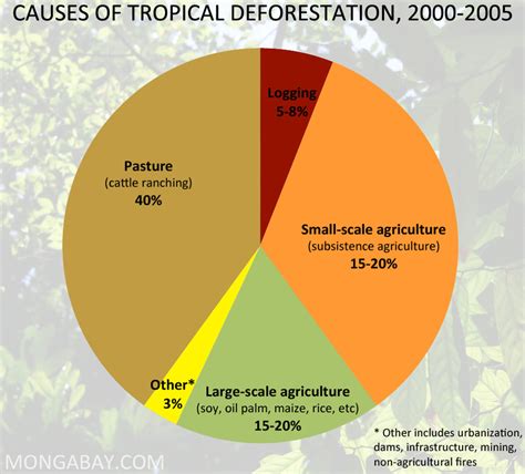 Human Impacts Tropical Rainforest Biome