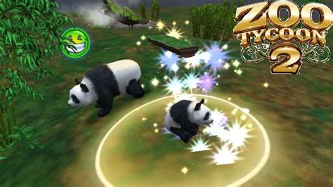 Zoo Tycoon 2 Giant Panda Breeding Youtube