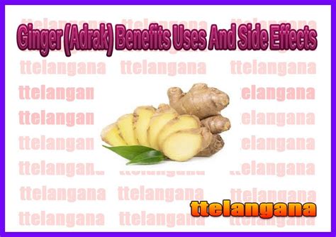 Ginger Adrak Benefits Uses And Side Effects