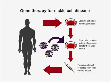 Nih Researchers Create New Viral Vector For Improved Gene Therapy In
