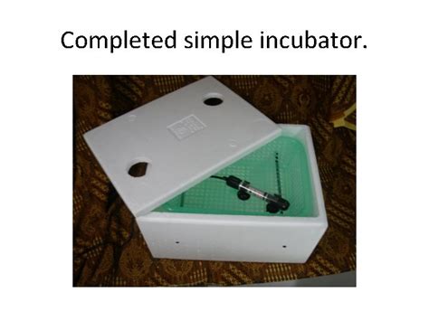 How To Make A Simple Tempeh Incubator For