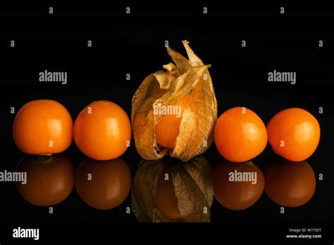 Group Of Five Whole Fresh Orange Physalis In Row Isolated On Black