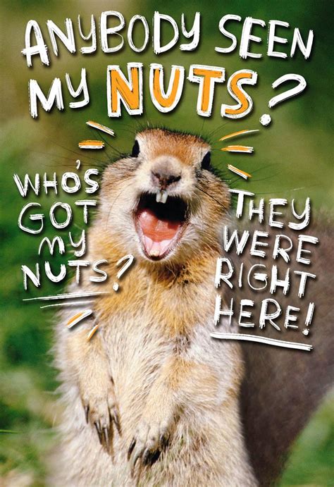 Our ecard maker has tons of amazing design options, and a huge selection of free ecard templates that is constantly updated with new stuff. Go Nuts Funny 50th Birthday Card - Greeting Cards - Hallmark