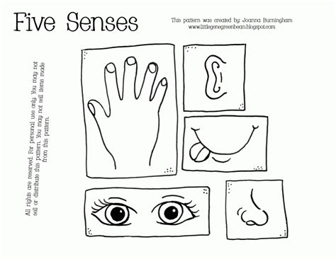 We prefer colored pencils, but you can use crayons or markers if you prefer. Free Coloring Pages 5 Senses - Coloring Home