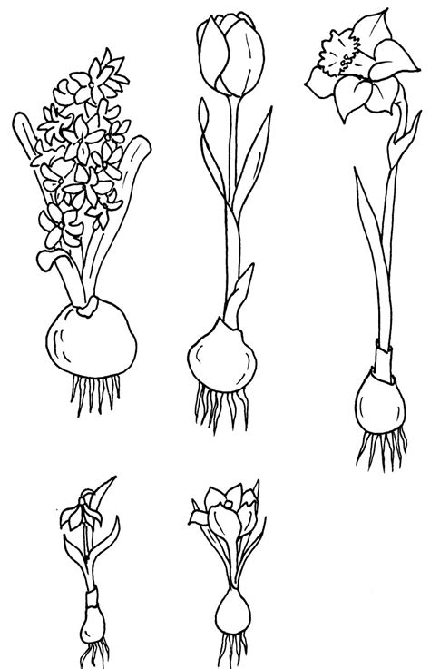 Osterhase kopf schablone 889 malvorlage ostern ausmalbilder. Ausmalbilder frühlingsblumen kostenlos - Malvorlagen zum ausdrucken - Page 3 sur 5 - AffeFreund.com