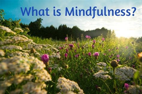 What Is Mindfulness Nature Psychologist Gold Coast Cbt Professionals