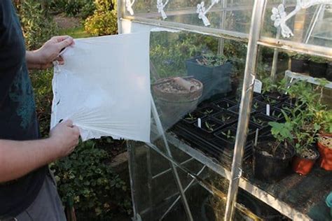 How To Shade A Greenhouse With Peelable Glass Paint Thorndown Paints