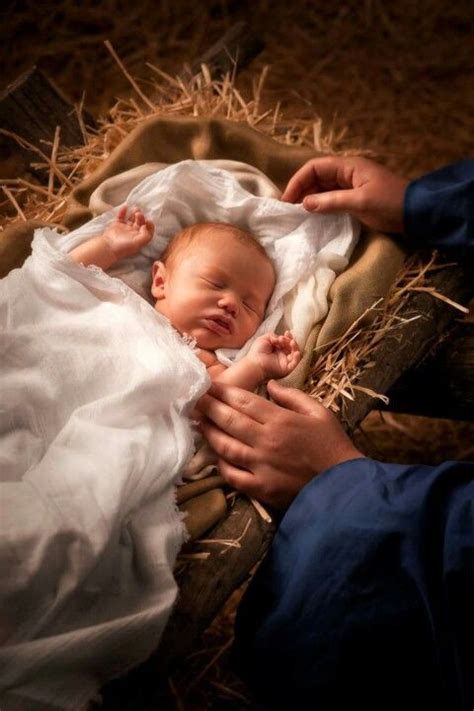 The plants originated in the shady, humid forests of brazil and actually. The real reason we celebrate this season... | Baby jesus ...