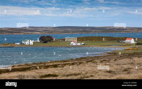 Darwin Settlement East Falkland Falkland Islands Stock Photo Alamy
