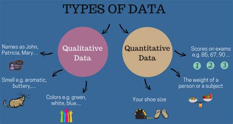 Quantitative Methodology Example In Research Ppt Major Types Of