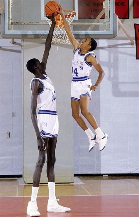【画像】NBA史上最高身長の選手がこちらwwwwwwwwww