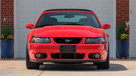 2004 Ford Mustang Svt Cobra Is One Rare Breed Of Terminator Autoevolution