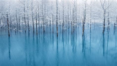 Wallpaper Sunlight Water Nature Reflection Winter Branch Ice