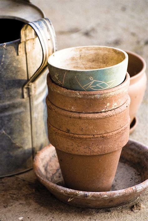 How To Age Terra Cotta Pots 4 Different Ways Better Housekeeper