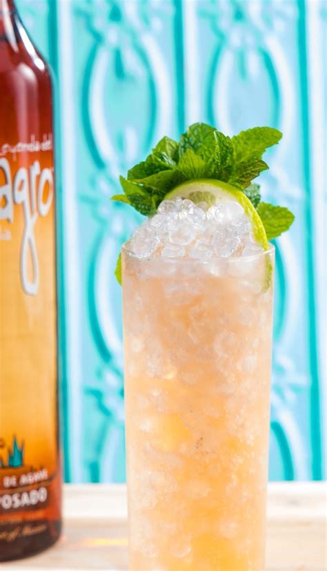 Not too strong, with an easygoing fruity flavor that goes with most any brunch. 23 Fire Tequila Cocktails That Bring the Party | Tequila ...