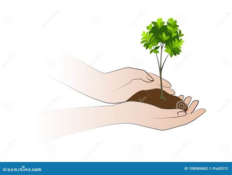 Hands Holding Plant Isolated On White Background Stock Vector