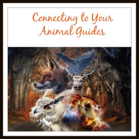 Connecting To Your Spirit Animal Aurora Centre Of Wellbeing