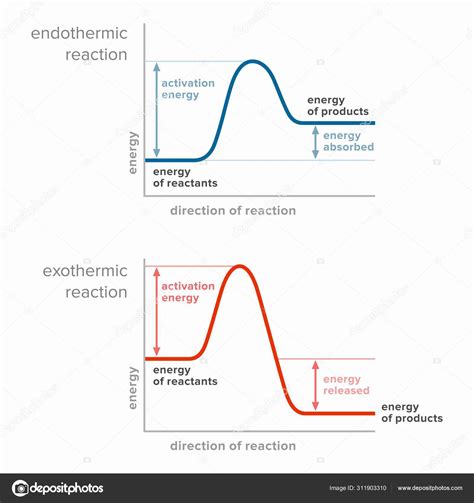Energía Activación Reacciones Endotérmicas Exotérmicas — Vector De