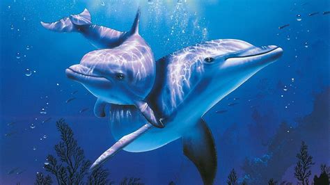 Cute Sea Animal Wallpapers Top Free Cute Sea Animal Backgrounds