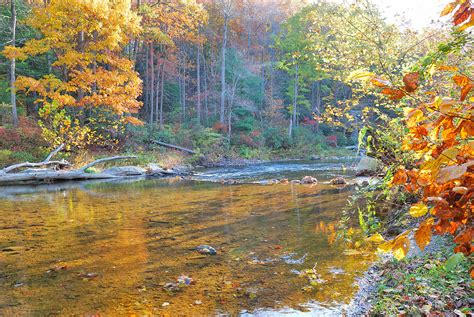 Fall Stream Photograph By Brian Williams