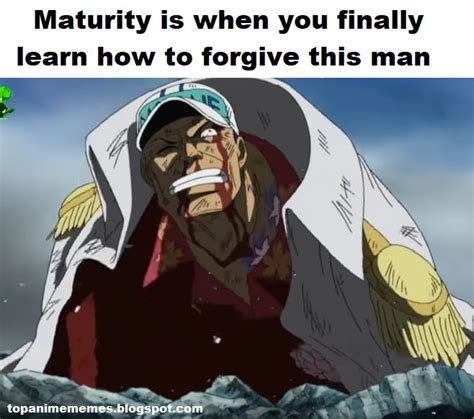 One Piece Memes Only Fans Will Understand Part 33