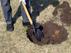 Man Digging A Hole Free Stock Photo By Val Lawless On Stockvault Net