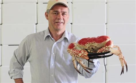 Top Crab Is Crystal Clear The West Australian