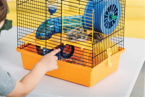 How Much Does A Hamster Cage Cost At Petsmart Sale Store Save 57