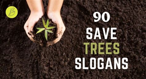 Top Save Trees Slogans For A Greener World Brand Peps