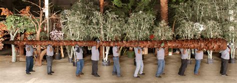 Artificial Tree Manufacturers Treescapes And Plantworks