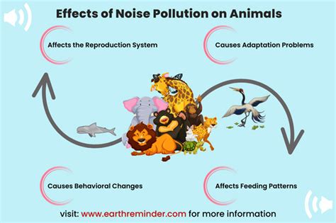 Effects Of Noise Pollution On Wildlife