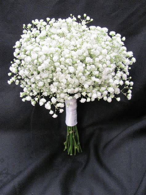 Baby Breath Flowers Toxic / Baby's Breath Flowers - What Other Baby's Breath Cultivars 