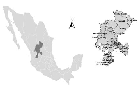 Mapa Del Estado De Zacatecas México En El Cual Se Ubican Las