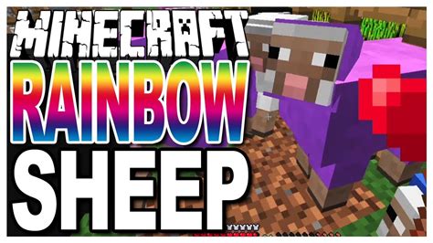 Minecraft Rainbow Sheep Growing Colouredcolored Wool On Sheep
