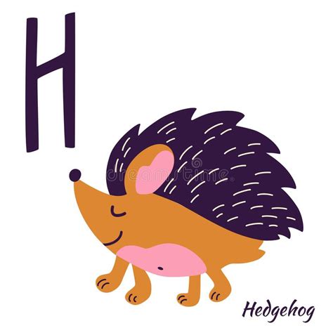Hedgehog H Letter Cute Children Animal Alphabet In Vector Fun Stock