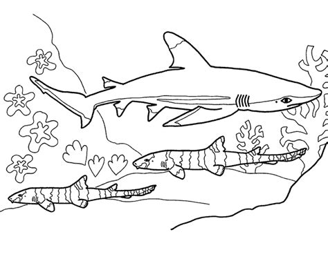 Printable Shark Coloring Pages Coloring Home Coloring Wallpapers Download Free Images Wallpaper [coloring436.blogspot.com]