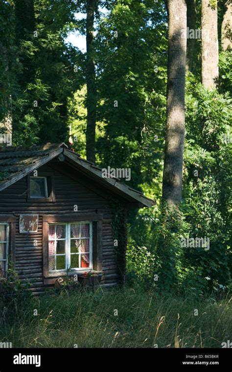 Log Cabin In Forest Stock Photo Alamy