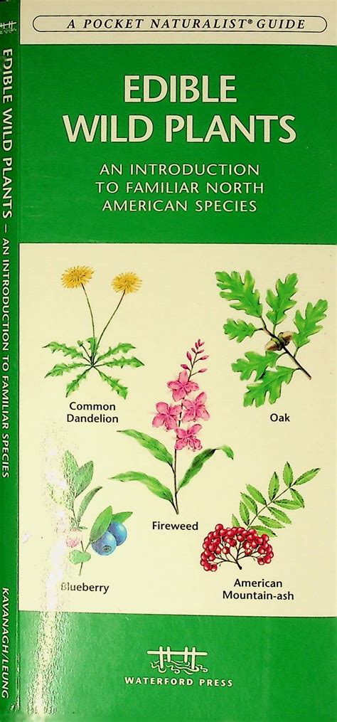 Edible Wild Plants A Folding Pocket Guide To Familiar North American