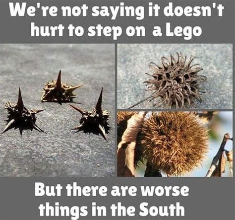 10 Memes To Help You Understand The South