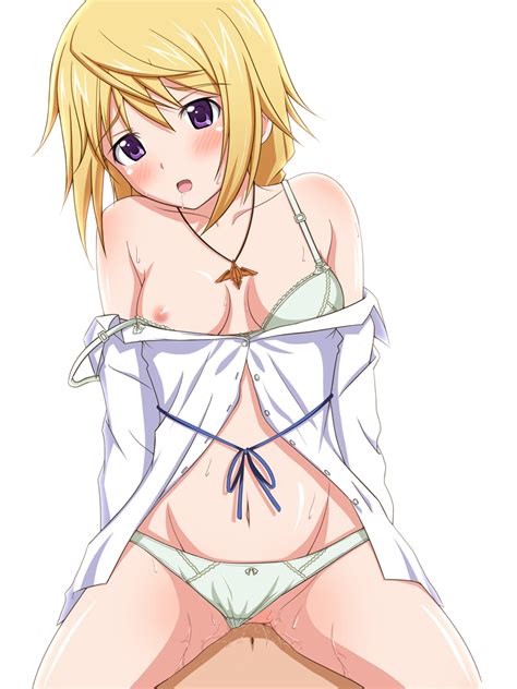 Charlotte Dunois Infinite Stratos Drawn By Takamin