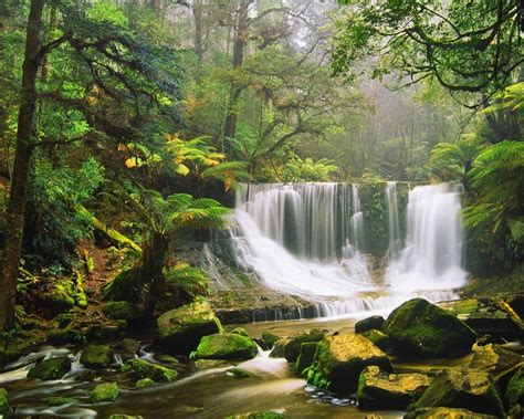 Waterfall Rocks Moss Green Forest Tree Fern Australian