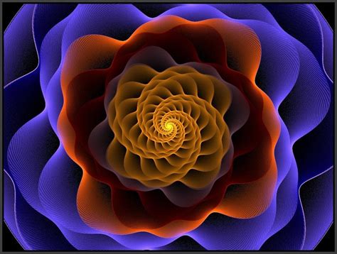 Fibonaccis Rose Fibonacci Spiral Art Spiral Art Fractals