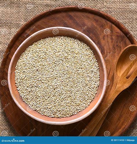 Raw White Quinoa Stock Photo Image Of Overhead Quinoa 50111418