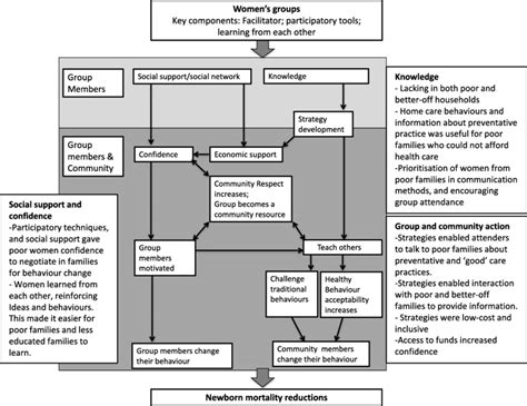 Mechanisms Of Equitable Behaviour Change Download Scientific Diagram