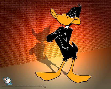 Top 999 Daffy Duck Wallpaper Full Hd 4k Free To Use