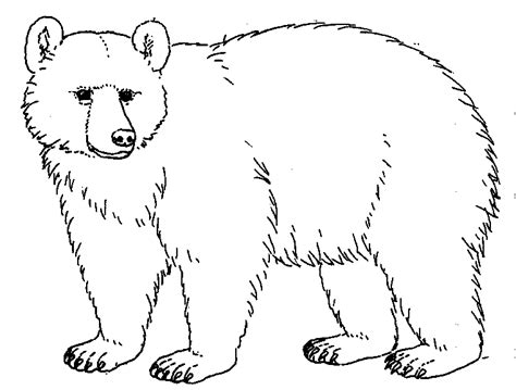 9 Bear Clipart Black And White Preview Black Bear HDClipartAll